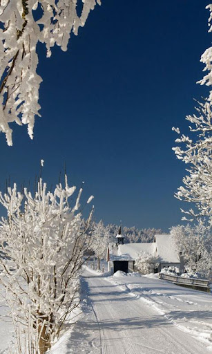 冬季雪動態壁紙高清