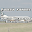 Pakistan Airports Flights Download on Windows