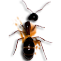 insect smarsher logo