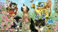 美しい猫の壁紙のおすすめ画像2