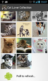 Cat Lovers Collection poster 2