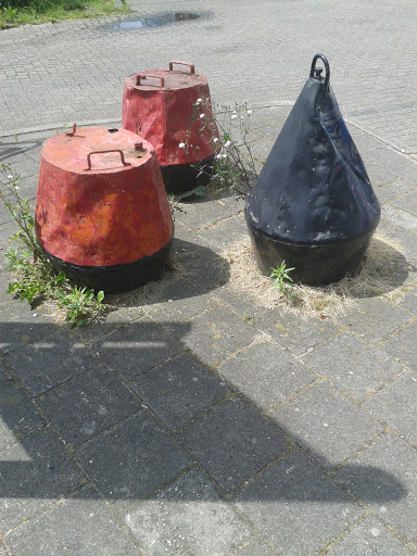 Old Bouys 2