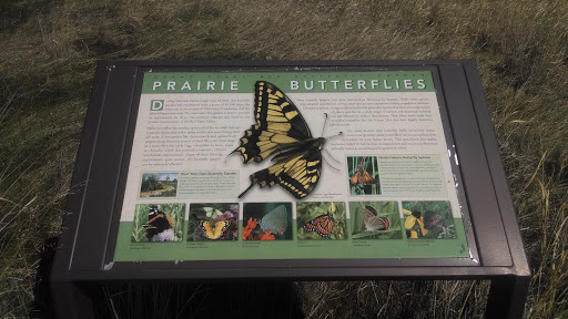 Prairie View Butterfly Garden