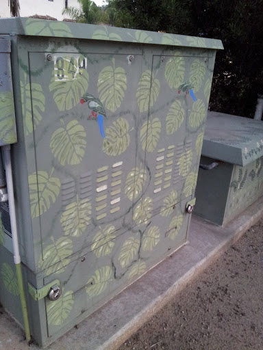 Point Loma Parakeets Part 2 Painted Utility Box at Canyon and Catalina