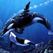 Orcas Mother n Son Under Sea