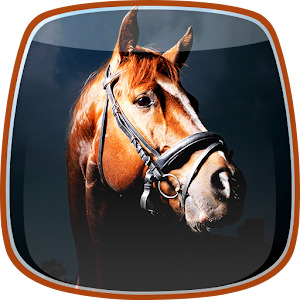 Horses Live Wallpaper 1.3