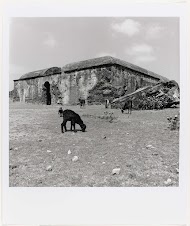 Remnants of a warehouse at Sadras near Chengalpattu, Tamil Nadu, India