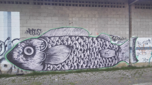 Mural Del Pez