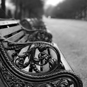cast iron by Almas Bavcic - Artistic Objects Other Objects