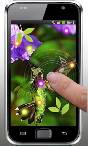 【免費個人化App】Hello Colibri live wallpaper-APP點子