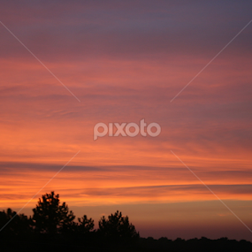 Delaware Sunset by Dianne Collins - Landscapes Sunsets & Sunrises