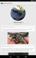 Reptiles of New Zealand Free APK صورة لقطة الشاشة #4