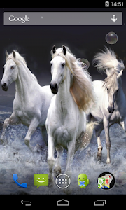 Horses Live Wallpaper screenshot 2