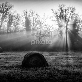 by Denis Burin - Black & White Landscapes