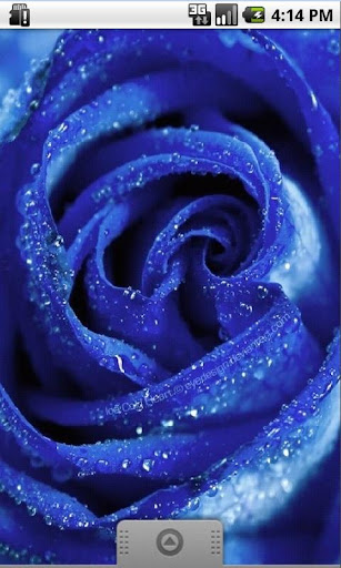 Blue Flower Live Wallpaper