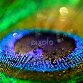 Fire by Sunny Joseph - Abstract Macro