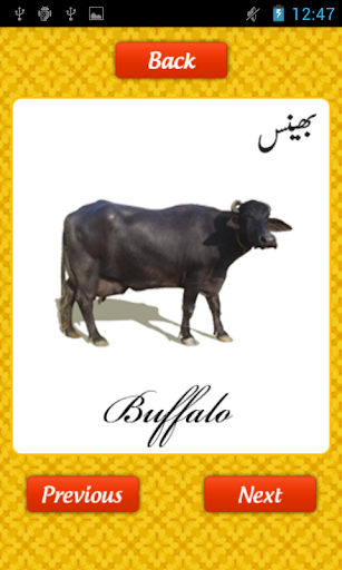 Learn Urdu Animals For Kids
