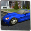 Driver Pro: Car Driving Game icon
