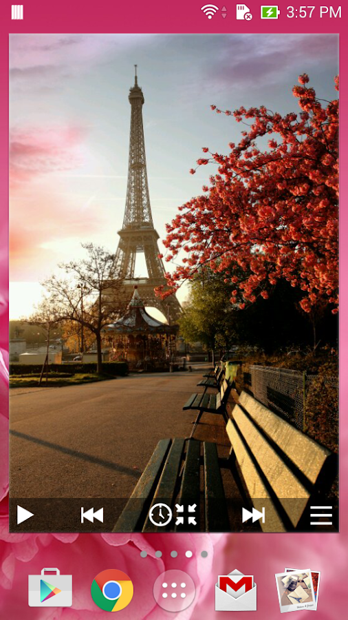   Animated Photo Widget +: captura de tela 