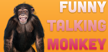 Talking Monkey APK