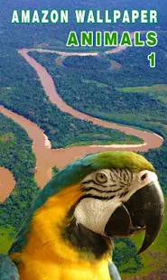 Amazon Wallpaper Animals 1