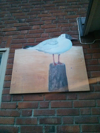 Two-Dimensional Seagull