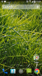 How to install Grass Real Live Wallpaper patch apk for pc