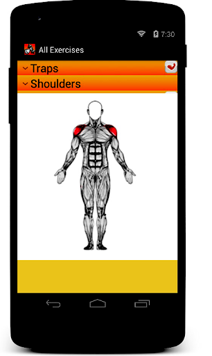 免費下載健康APP|Workout Bodybuilding Trainer app開箱文|APP開箱王