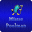Mister Poolman Download on Windows