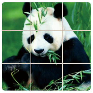 AnimalPuzzle logo