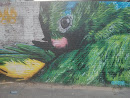 Birdy Mural