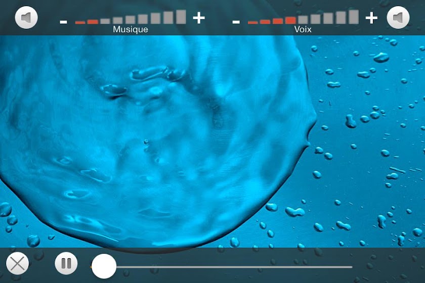 Lacceptation Screen 3