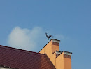 Hahn auf dem Dach