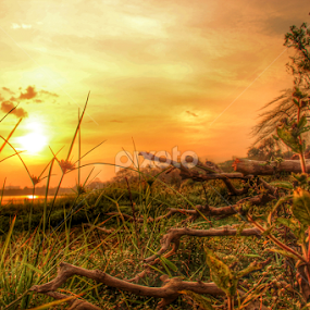 telaga ngi[pik by Rizal Debby - Landscapes Sunsets & Sunrises