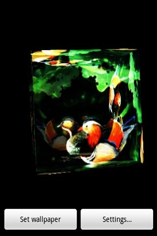 3D Mandarin duck Screen 3