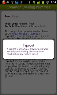 Wild Edibles - screenshot thumbnail