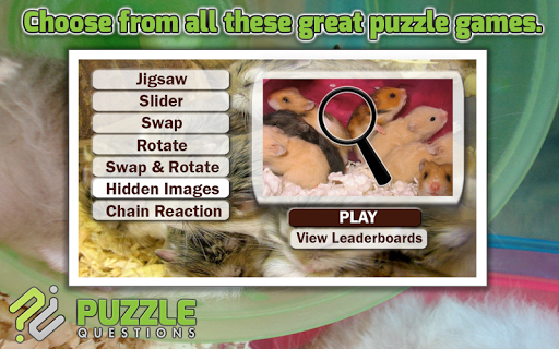 Free Hamster Puzzle Games