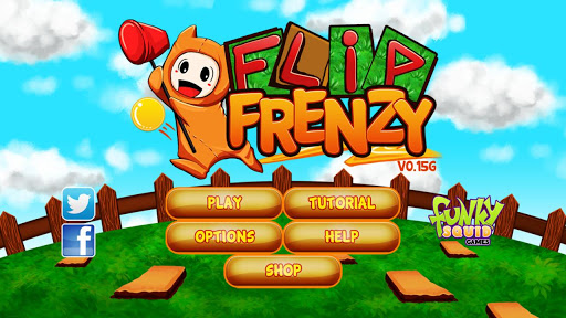 Flip Frenzy - Puzzle Pathways