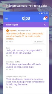 Download Qipu  - O aplicativo do MEI APK
