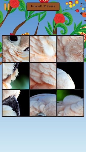 免費下載解謎APP|Birds World Puzzle app開箱文|APP開箱王