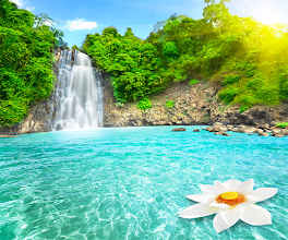 Waterfall Live wallpaper APK Download for Android