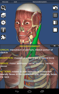 3D Anatomy - Android Apps on Google Play