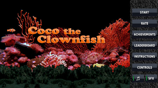 Coco the Clownfish