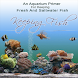 Keeping Fish Guide