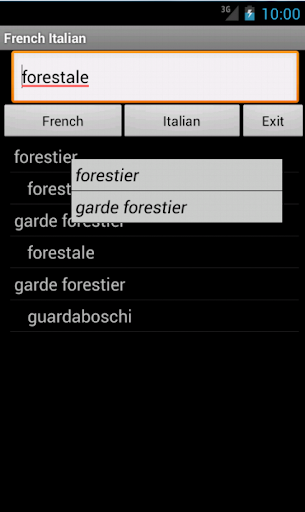 French Italian Dictionary