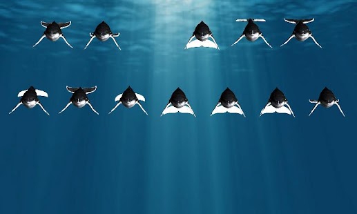 How to download 3D Humpback Whale Song Piano lastet apk for bluestacks