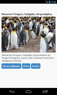 How to mod Penguin Wallpaper 1.2 apk for bluestacks