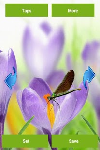 Dragonfly Wallpapers Screenshots 2