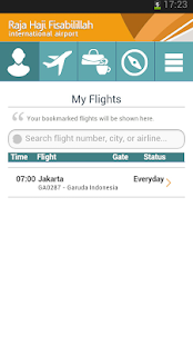 Raja Haji Fisabilillah Airport Screenshots 12