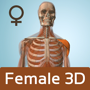 Female Anatomy 3D - Anatronica logo